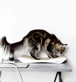 Griffoir En Carton Pour Chat Design TOBI 15 Griffoir En Carton Pour Chat Design TOBI -Hariet & Rosie eng pl Scratcher TOBI white 19 7