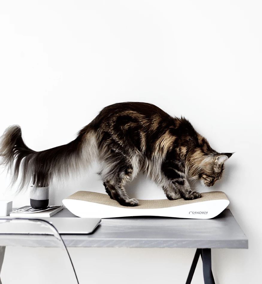 Griffoir En Carton Pour Chat Design TOBI 8 Griffoir En Carton Pour Chat Design TOBI – Image 6