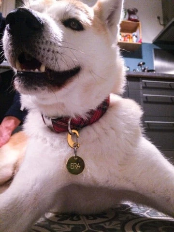 Médaille D'identification Gravure Personnalisée Ronde 4 Médaille D'identification Gravure Personnalisée Ronde – Image 2