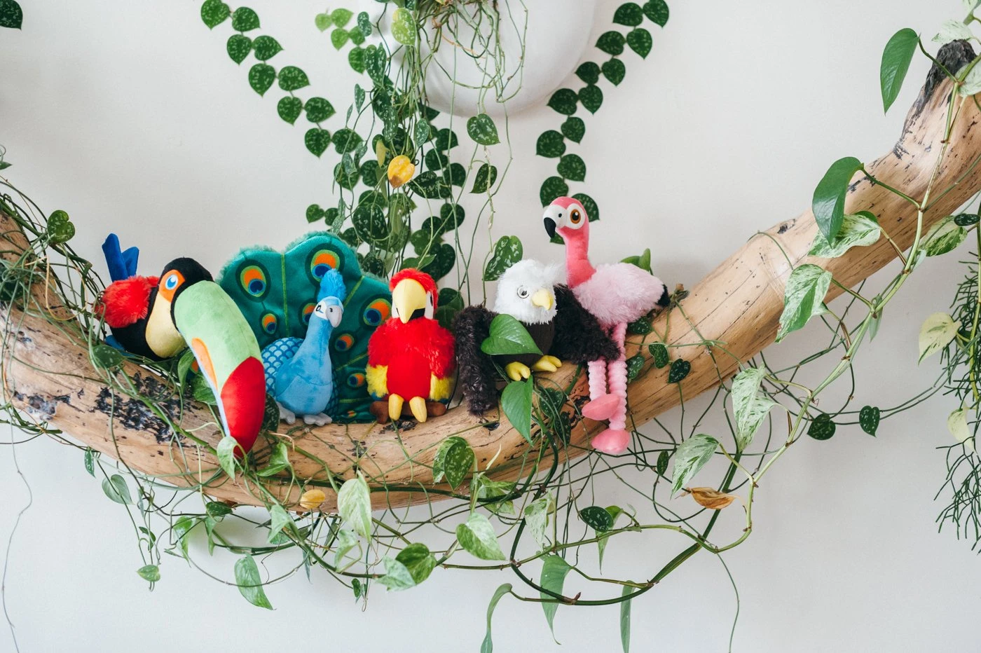 PLAY Peluche Perroquet 6 PLAY Peluche Perroquet – Image 4