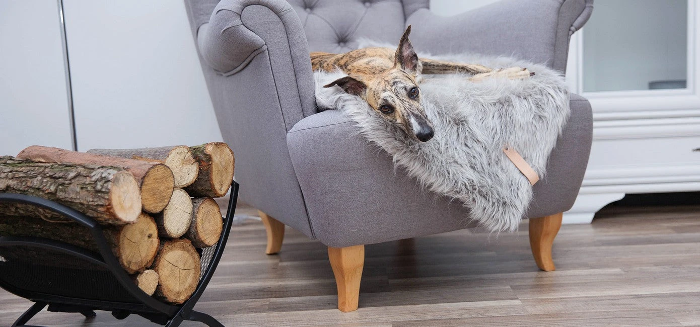 Couverture En Fausse Fourrure Fora 4 Couverture En Fausse Fourrure Fora – Image 2