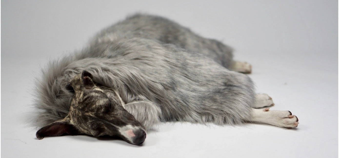 Couverture En Fausse Fourrure Fora 5 Couverture En Fausse Fourrure Fora – Image 3