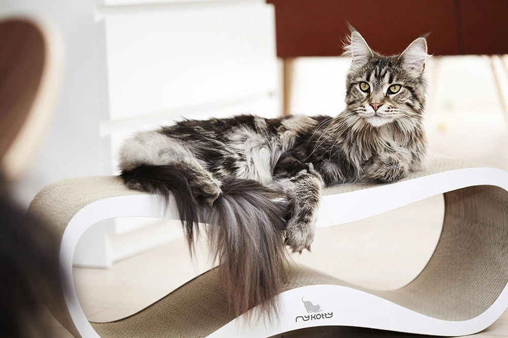 Griffoir Pour Chat Design LUI My Kotty 9 Griffoir Pour Chat Design LUI My Kotty – Image 7