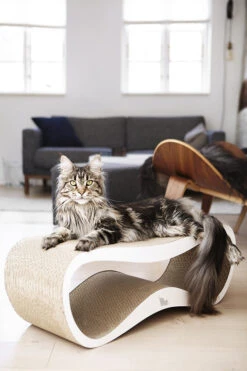 Griffoir Pour Chat Design LUI My Kotty 21 Griffoir Pour Chat Design LUI My Kotty -Hariet & Rosie fuji oti 24 1