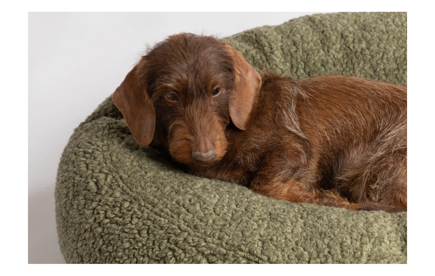 Coussin Apaisant Pour Chien En Laine 5 Coussin Apaisant Pour Chien En Laine – Image 3