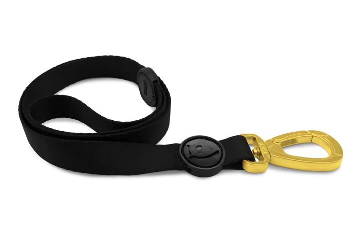 Laisse Gold Caviar 3 Laisse Gold Caviar