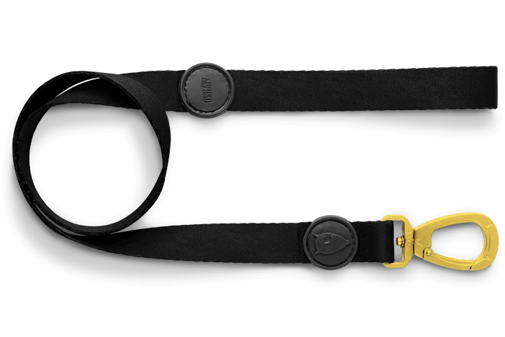 Laisse Gold Caviar 4 Laisse Gold Caviar – Image 2