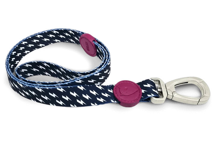 Laisse Power Flow 3 Laisse Power Flow