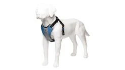 Harnais De Running Pour Chien 11 Harnais De Running Pour Chien -Hariet & Rosie harness blue 3 4 720x b90d0fc6 6902 47b9 82de 4d733c20e99a