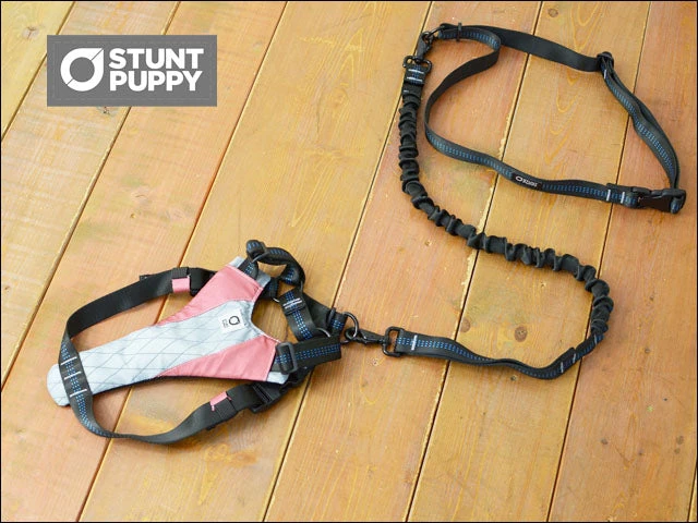 Harnais De Running Pour Chien 4 Harnais De Running Pour Chien – Image 2