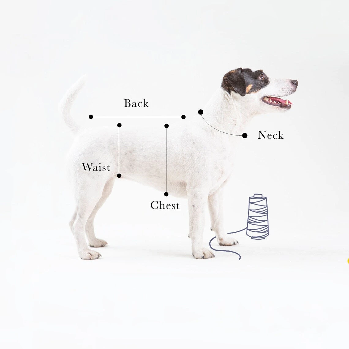 T-shirt En Jersey 5 T-shirt En Jersey – Image 3