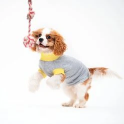 T-shirt En Jersey 6 T-shirt En Jersey -Hariet & Rosie il 1140xN.2976322955 6xjj