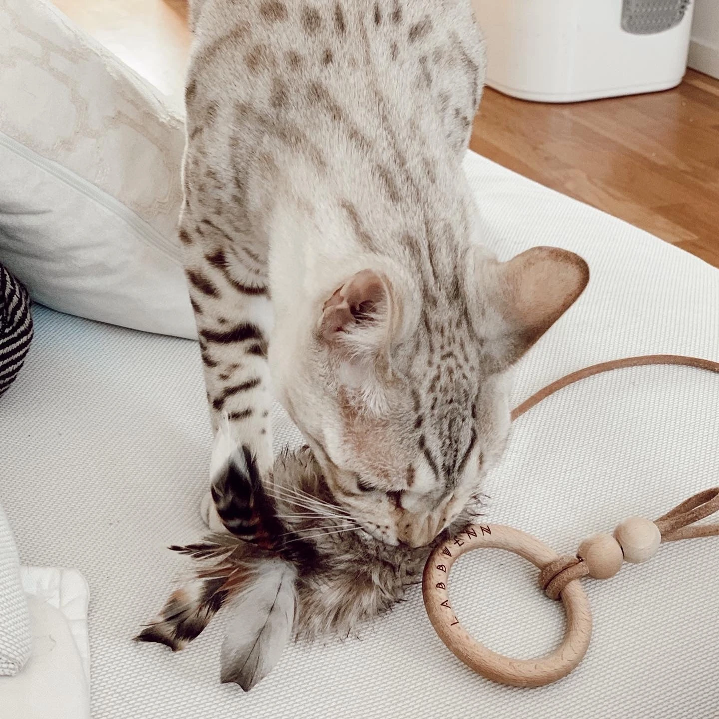 Jouet Pour Chat Tollo 5 Jouet Pour Chat Tollo – Image 3