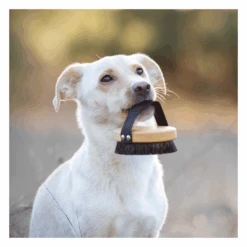 Brosse Pour Poils Courts Lila Loves It -Hariet & Rosie image 3b0cdc38 ad07 4ef0 991c 0d279b6b653c