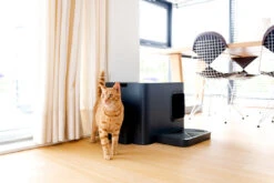 Bac à Litière Pour Chat Hoopo Dome Plus 9 Bac à Litière Pour Chat Hoopo Dome Plus -Hariet & Rosie image 4344ce67 f84c 4d41 b1a6 44ece2fdbffd