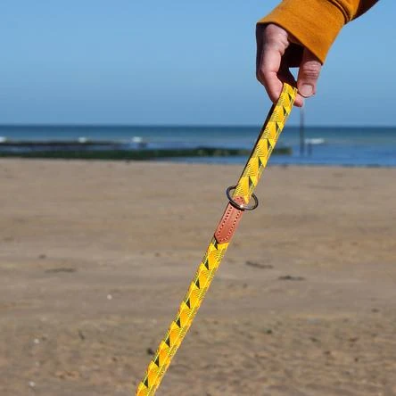 Laisse Fireworks 4 Laisse Fireworks – Image 2