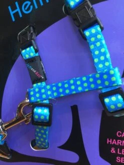 Harnais Et Laisse à Pois Pour Chat -Hariet & Rosie image 9c6b61b8 3f17 4850 9b2a beb28f015ea9