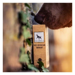 Sérum Premiers Soins Pour Chien Et Chat 7 Sérum Premiers Soins Pour Chien Et Chat -Hariet & Rosie image 9e0456c3 c897 4394 945c f324549d4041