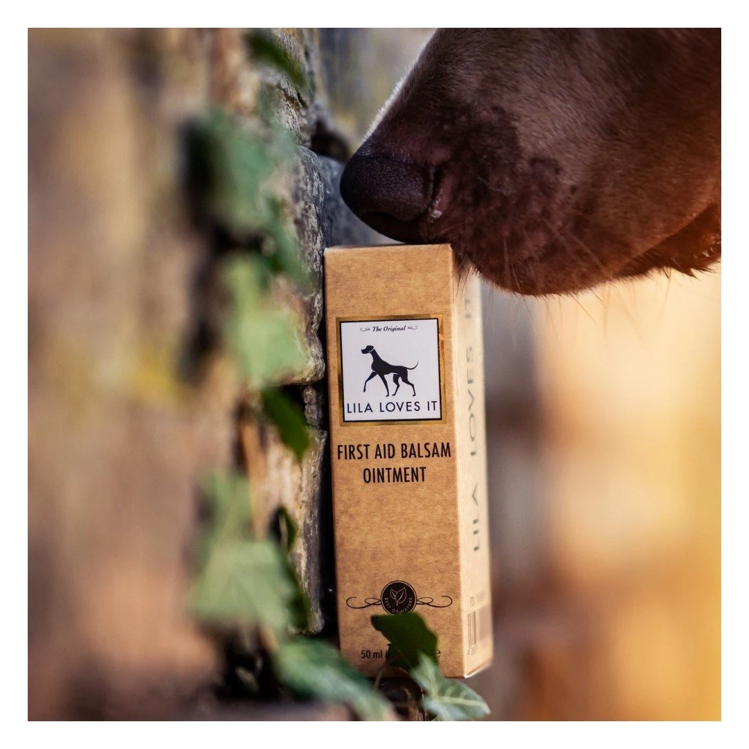 Sérum Premiers Soins Pour Chien Et Chat 5 Sérum Premiers Soins Pour Chien Et Chat – Image 3