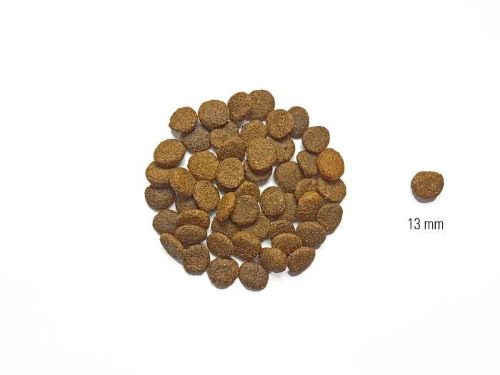 Croquettes Pour Chien Au Saumon Et Truite Sans Céréales 4 Croquettes Pour Chien Au Saumon Et Truite Sans Céréales – Image 2