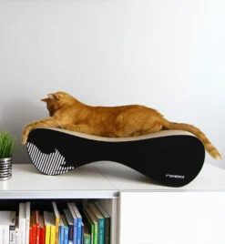 Griffoir Design Pour Chat En Carton - VIGO - MY KOTTY -Hariet & Rosie image cd4b755e 3466 4b92 9abc 7644cb1f62e8