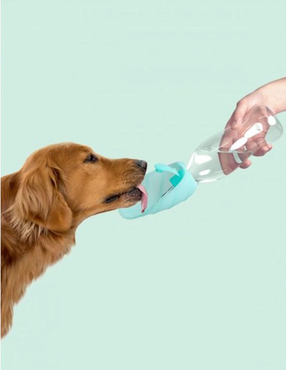 Gourde Pour Chien Avec Distributeur D’eau 6 Gourde Pour Chien Avec Distributeur D’eau – Image 4