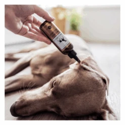 Soin Nettoyant Oreilles Pour Chien Et Chat -Hariet & Rosie image e04bc068 89ef 47db ac6a 06c83cef2bfc