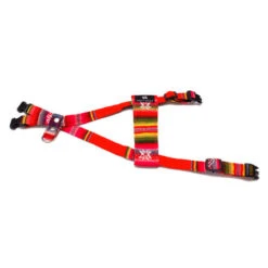 Harnais Pour Chien Inca Orange 8 Harnais Pour Chien Inca Orange -Hariet & Rosie inca orange dog harness flat web 450x450 13caefbf 053c 44cf b33d 7a0ff0d3ec19