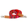 Laisse Inca Orange 1 Laisse Inca Orange -Hariet & Rosie inca orange hands free lead web 450x450 589c09f1 f2e2 47a0 9145 5ea700f051ad
