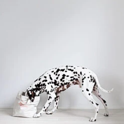 Sac De Rangement Pour Jouets Pour Chien -Hariet & Rosie kind S6A6431 2000x2000px44 e1b06691 c819 4f62 b7d6 b21a1d75ce8c