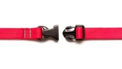 Laisse Souple Everyday (3 Couleurs) 12 Laisse Souple Everyday (3 Couleurs) -Hariet & Rosie laisse2