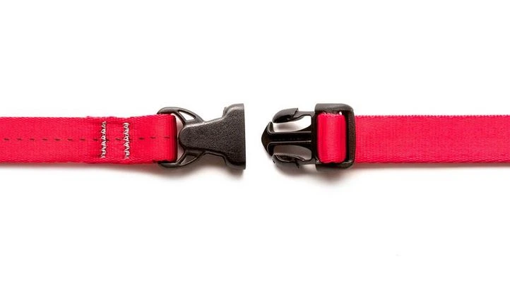 Laisse Souple Everyday (3 Couleurs) 6 Laisse Souple Everyday (3 Couleurs) – Image 4