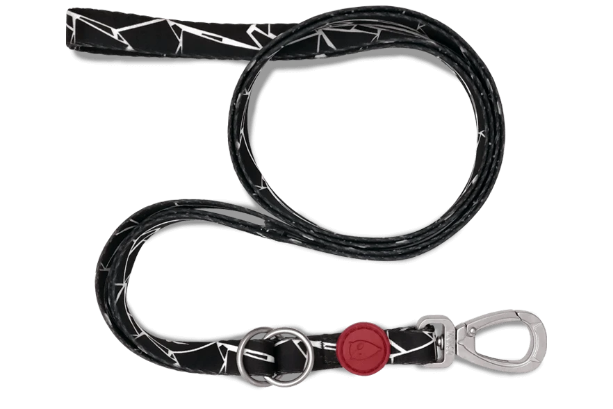 Laisse Broken Self 4 Laisse Broken Self – Image 2