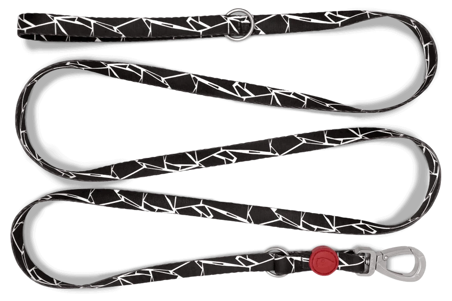 Laisse Broken Self 5 Laisse Broken Self – Image 3