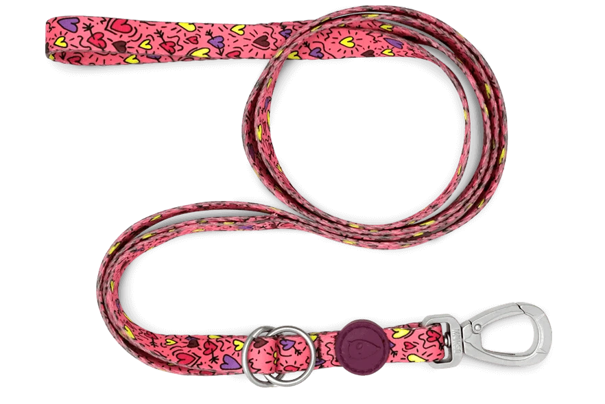 Laisse Pink Think 4 Laisse Pink Think – Image 2