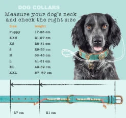 Collier En Cuir Paddy Lee Dwam -Hariet & Rosie maattabel collars en cm