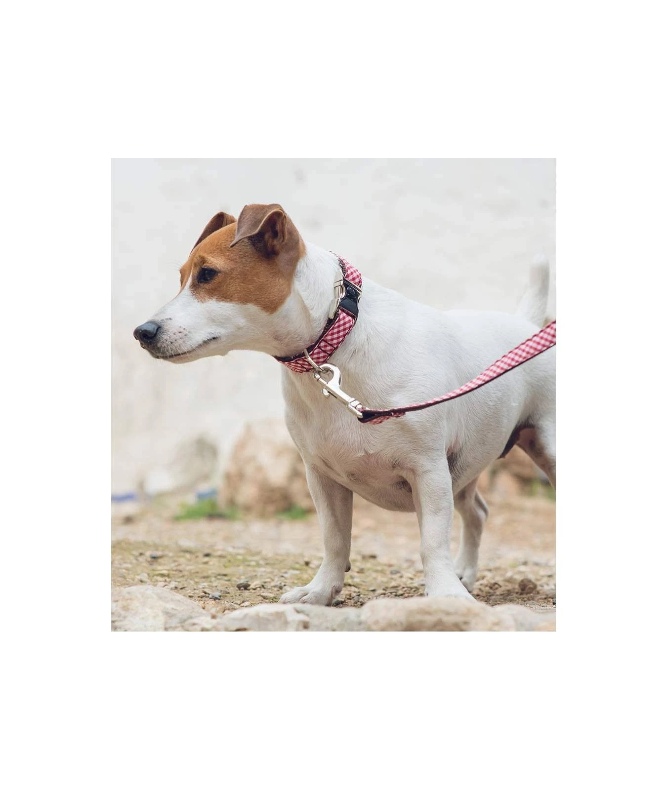 Laisse Pour Chien Vichy Rouge Maians 4 Laisse Pour Chien Vichy Rouge Maians – Image 2