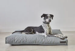 Coussin Pour Chien Orthopédique Mare -Hariet & Rosie mare fels