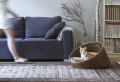 Panier Pour Chien Et Chat Design Covo -Hariet & Rosie mc beds covo walnut singha room shoot 563 300x205 1