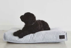 Coussin Pour Chien Divo -Hariet & Rosie mc c01 012 01 m sleep divo cushion pebble oskar 464