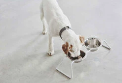 Double écuelle Design Pour Chien Cena -Hariet & Rosie mc c06 006 01 s eat cena stone duke 6 243