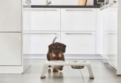 Double écuelle Surélevée Design Pour Chien Desco Bois 13 Double écuelle Surélevée Design Pour Chien Desco Bois -Hariet & Rosie mc c06 007 02 m eat desco ash white simba 2205 2