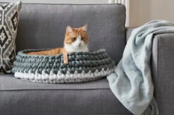 Panier Pour Chat Nido -Hariet & Rosie mc g02 005 02 sleep nido grey singa 2 261 web 1 67c500f2 ec6e 4f82 9813 cd3b4e15c214