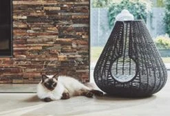 Maison Pour Chat Perla 9 Maison Pour Chat Perla -Hariet & Rosie mc g02 010 02 sleep perla anthracite mio 343 984