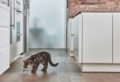 Double écuelle Design Pour Chat Cena -Hariet & Rosie mc g06 005 01 s eat cena stone molly samu 2595 v2 1