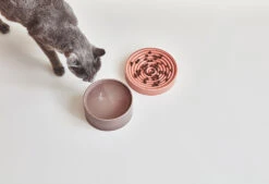 Bol En Porcelaine Pour Chat Fresco 9 Bol En Porcelaine Pour Chat Fresco -Hariet & Rosie mc g06 007 02 g06 008 02 eat piatto fresco berry mia 1267 984