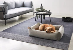 Lit Pour Chien Orthopédique Mare -Hariet & Rosie mc mare sand 2 recolored