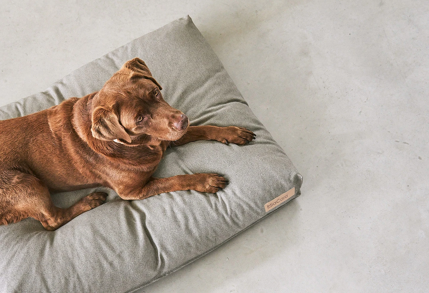 Coussin Pour Chien Orthopédique Mare – Image 4