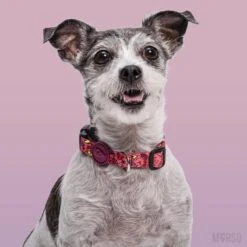 Collier Pour Chien Pink Think -Hariet & Rosie morso collare pink think img 05