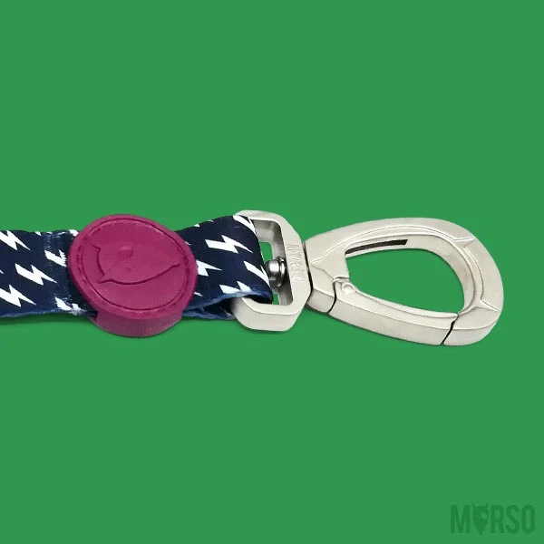 Laisse Power Flow 5 Laisse Power Flow – Image 3